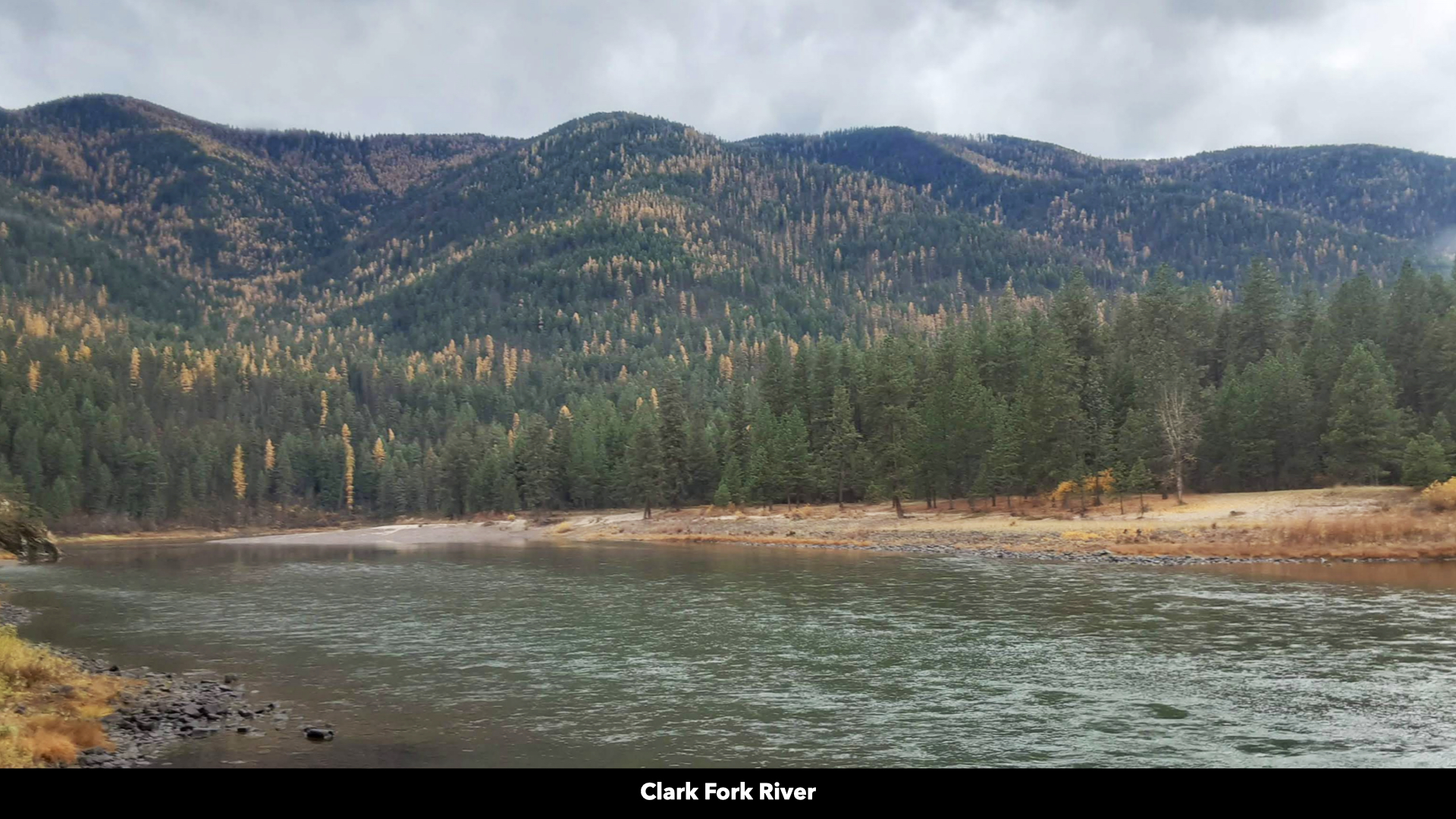 Riverfront Acreage For Sale in St. Regis, Montana