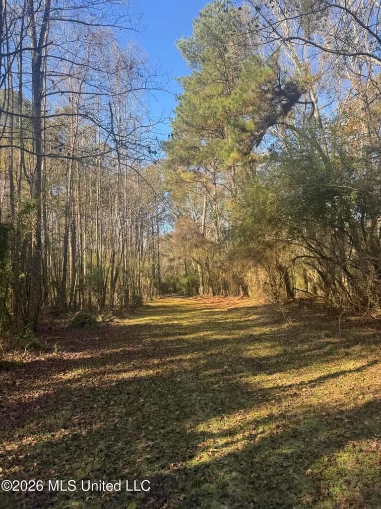 South Mississippi Hunting Land for Sale in Walthall County
