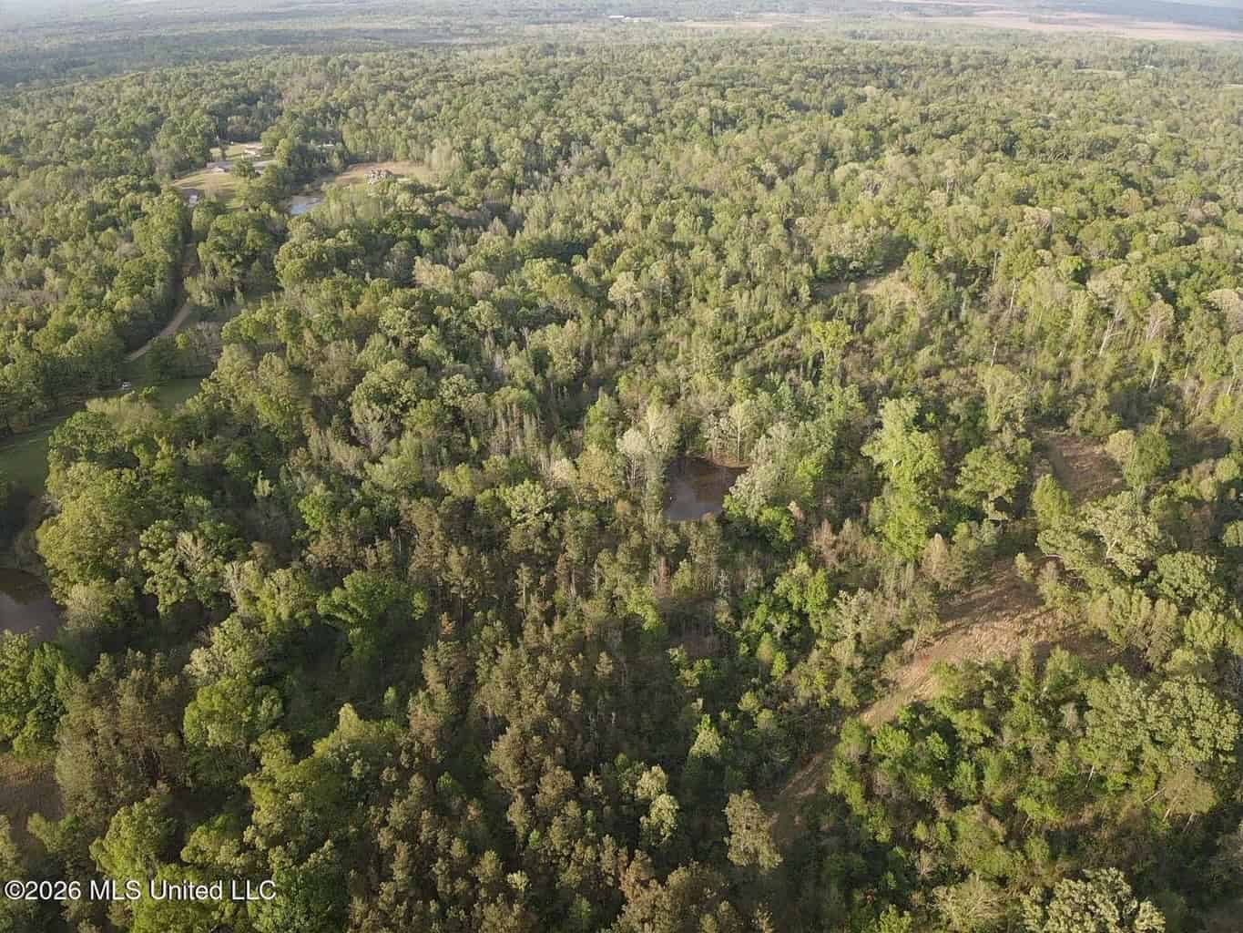 77 Acres in Edwards, MS Hinds County Big Black River Region