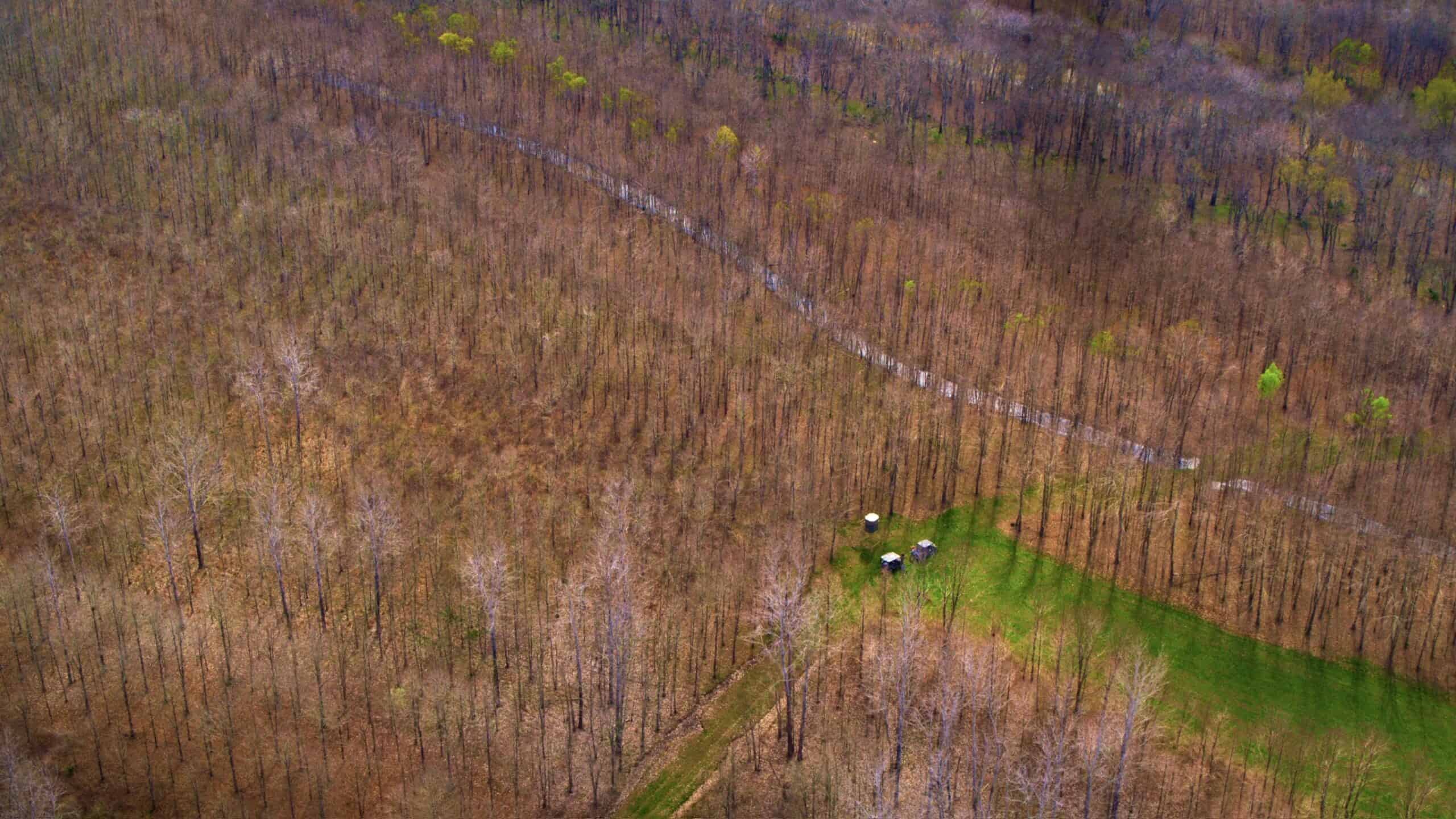 525+/- Acre Hunting Lodge for Sale in Sportsmans Paradise