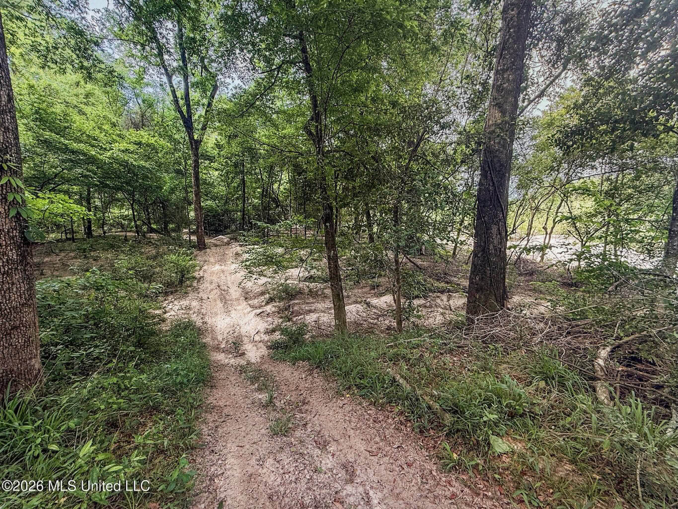 23 Acres of Riverfront Property with Sand Bar and Cabins
