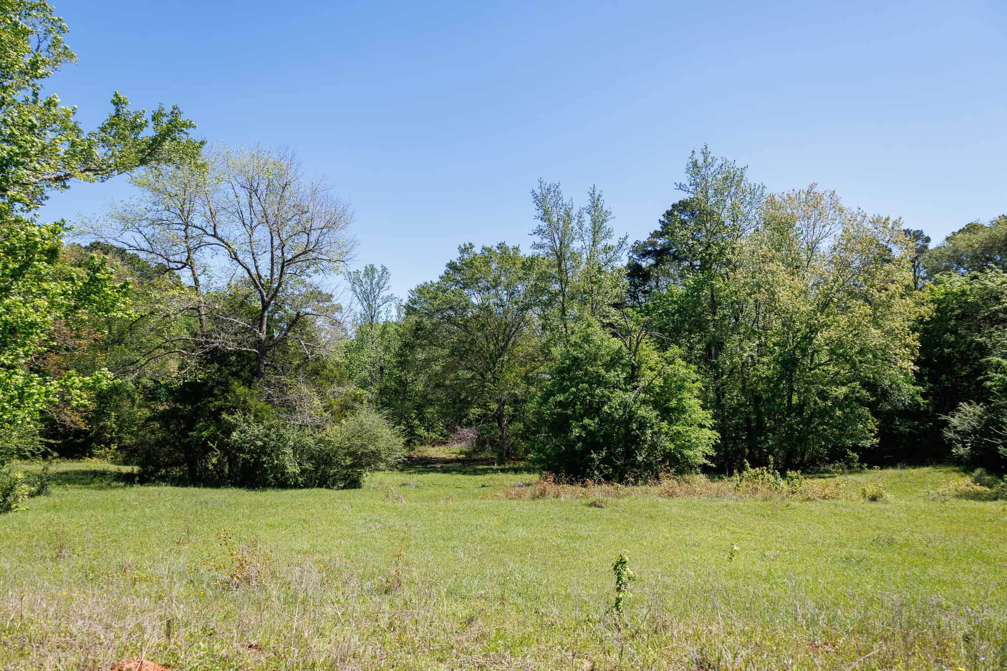 31.74 Acre Recreational Ranch Near Bullard in Smith County TX