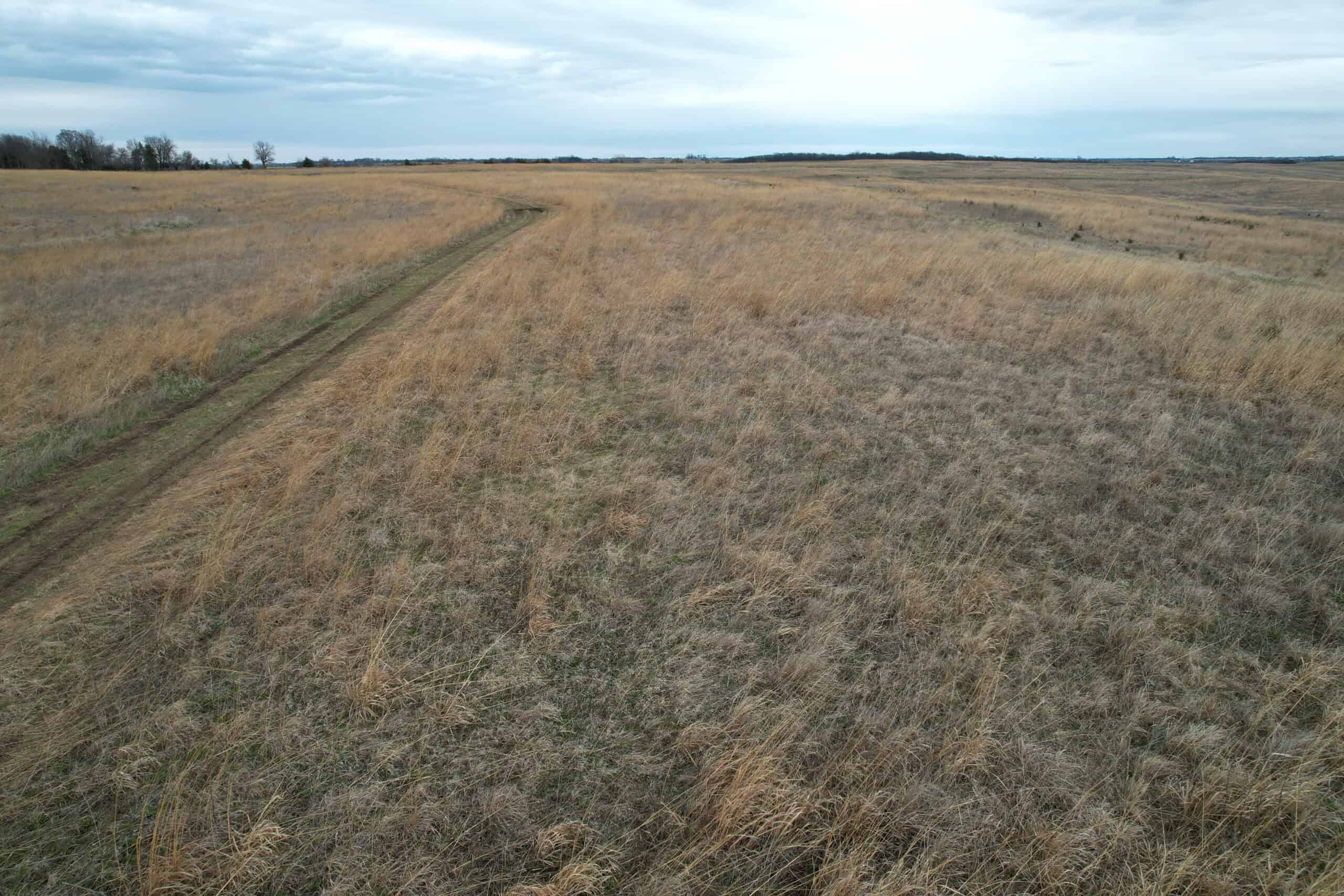 Southwest Iowa Income Producing Combination Farm