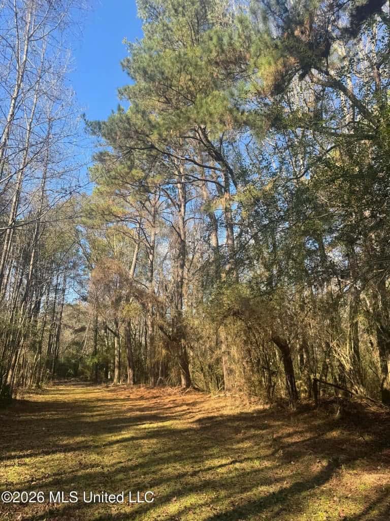 South Mississippi Hunting Land for Sale in Walthall County