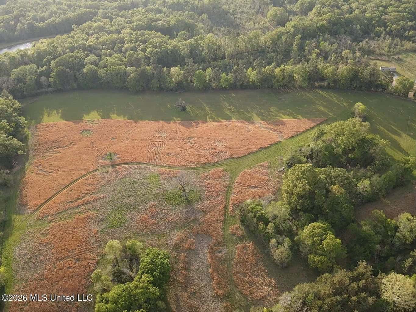 77 Acres in Edwards, MS Hinds County Big Black River Region