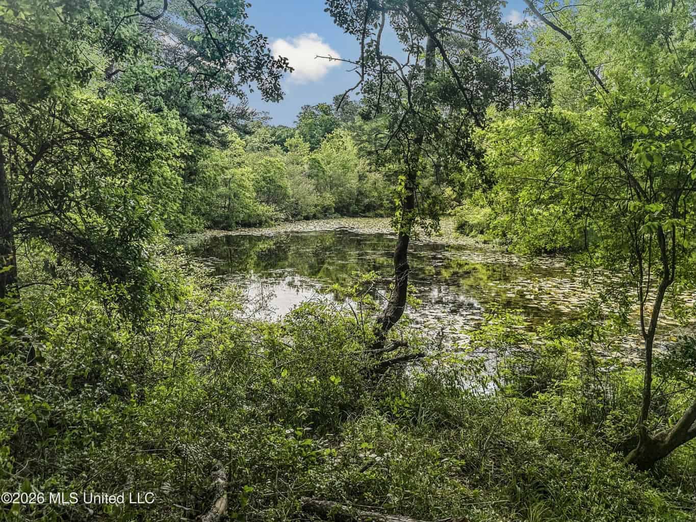 23 Acres of Riverfront Property with Sand Bar and Cabins