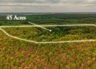 493 County Road 151, Alton, MO
