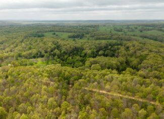 493 County Road 151, Alton, MO