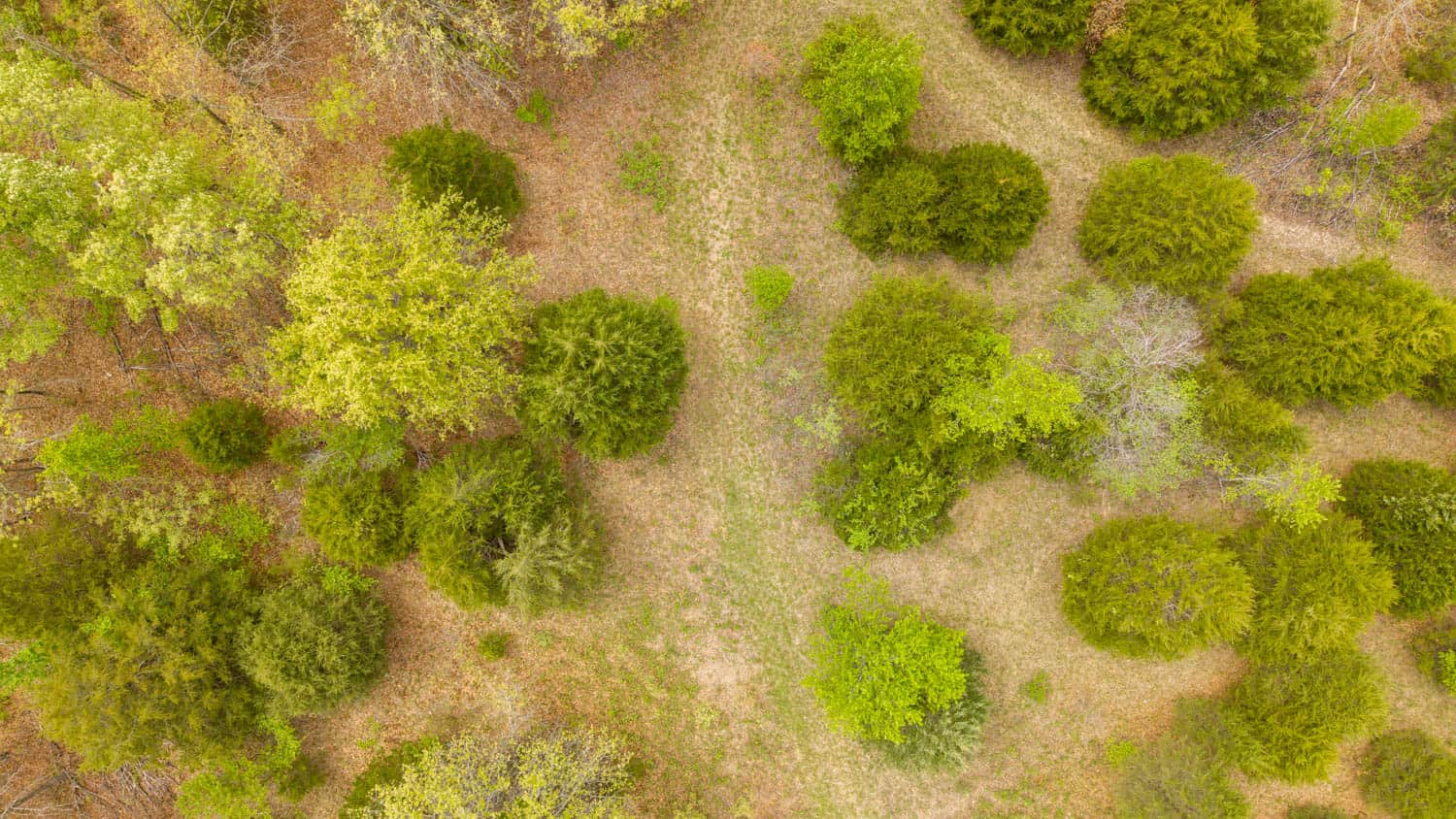 493 County Road 151, Alton, MO
