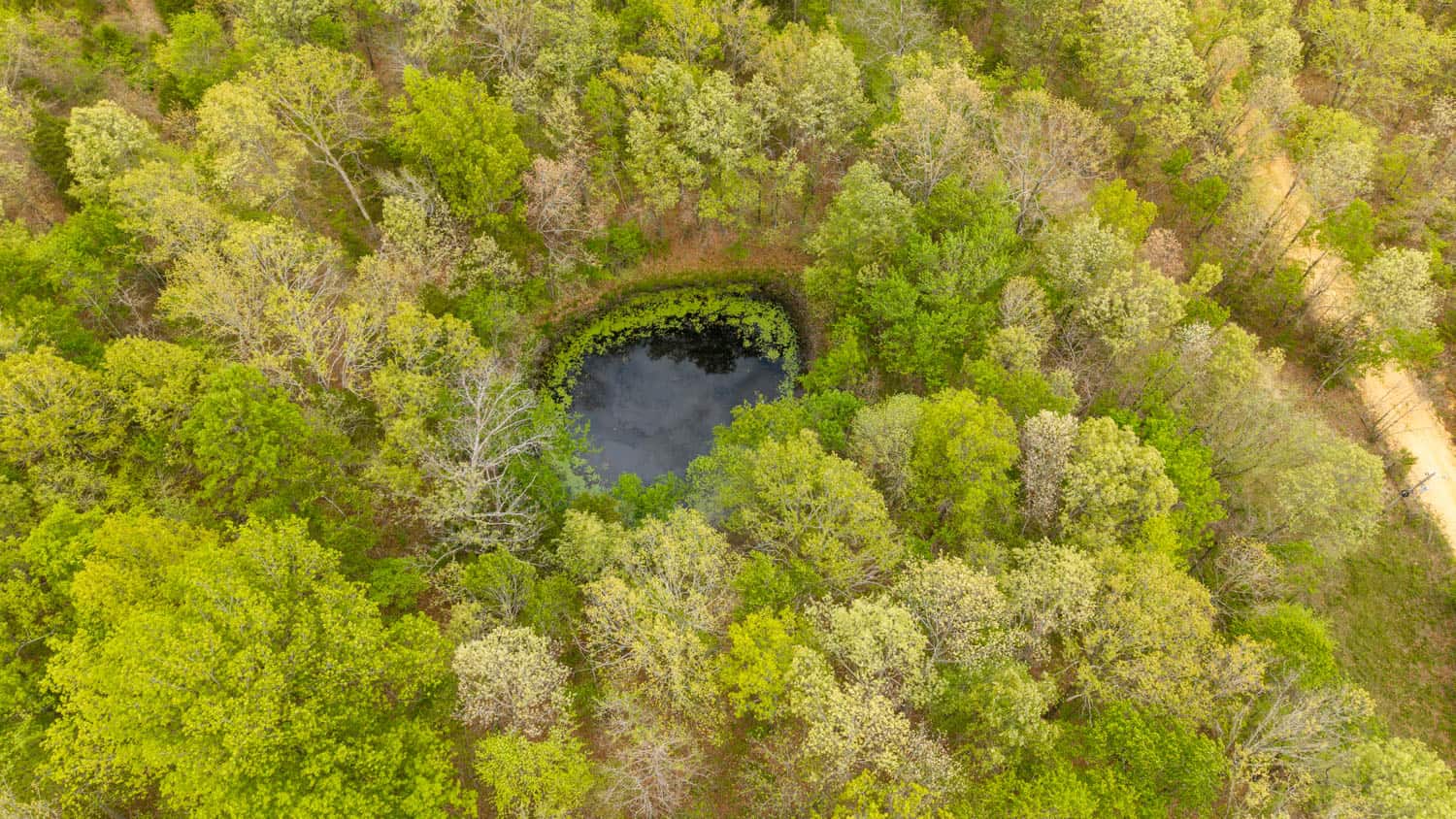 493 County Road 151, Alton, MO