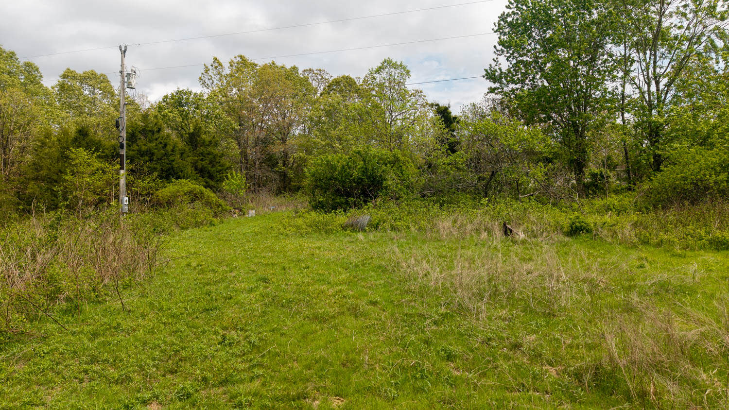 493 County Road 151, Alton, MO