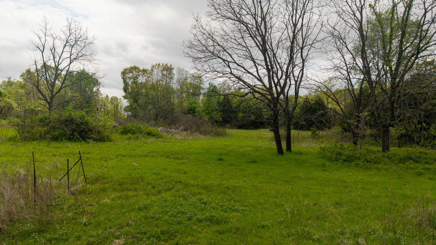 493 County Road 151, Alton, MO