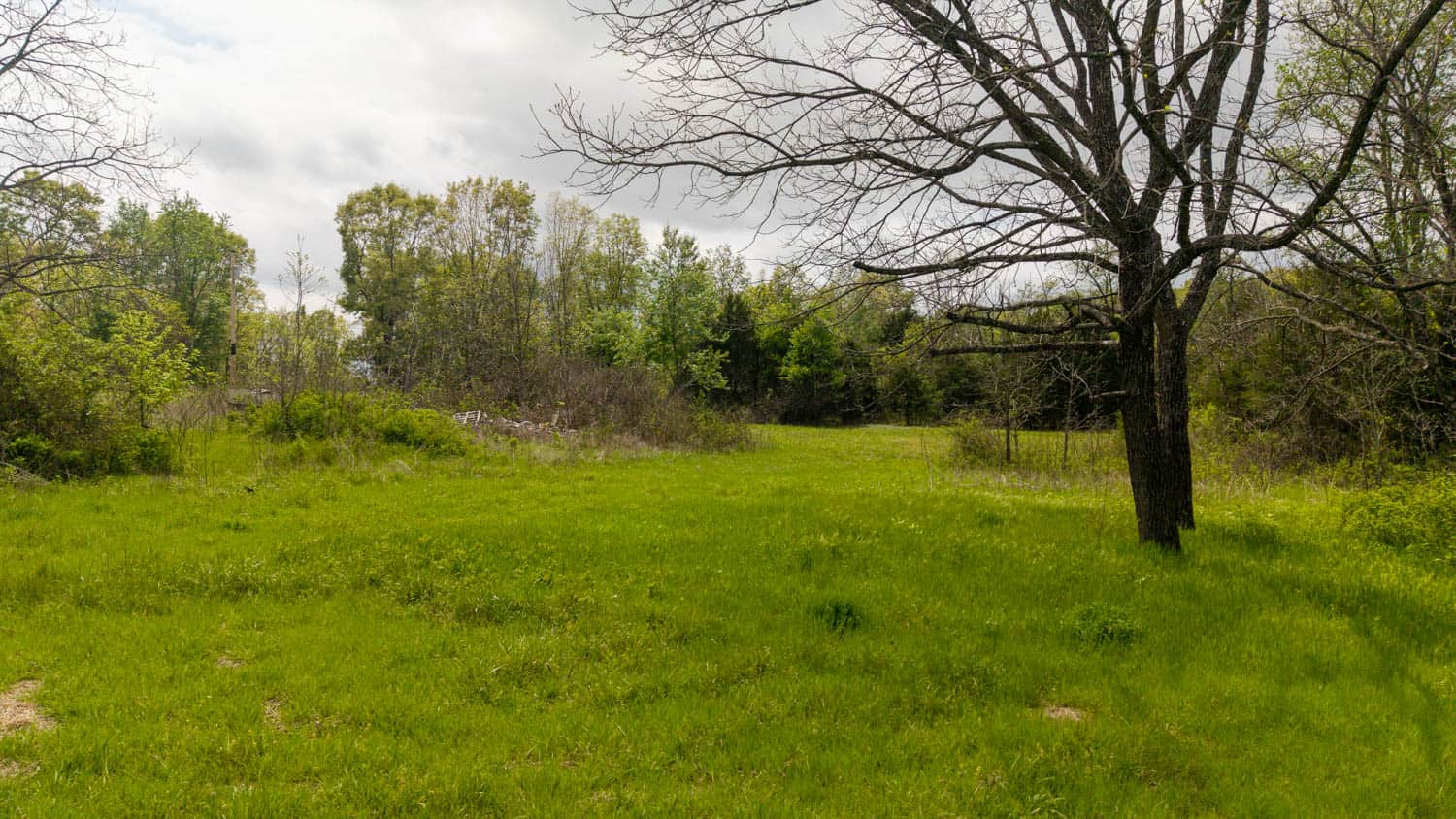 493 County Road 151, Alton, MO