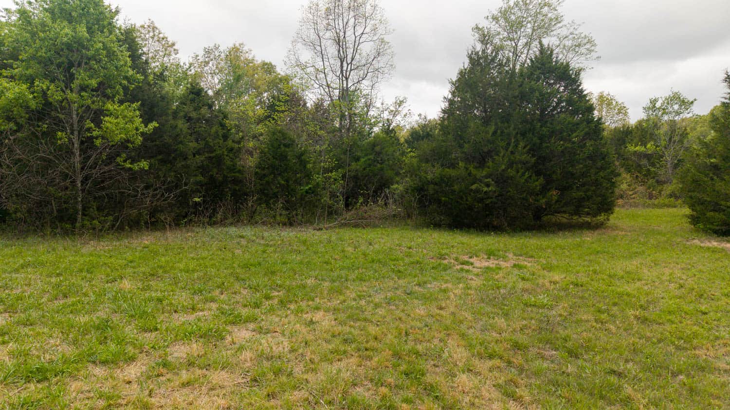 493 County Road 151, Alton, MO