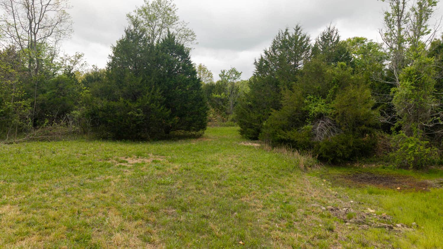 493 County Road 151, Alton, MO