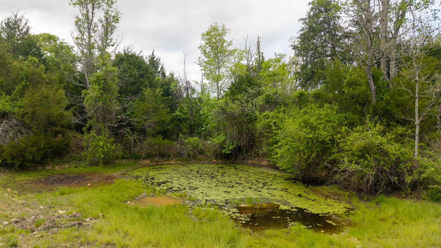 493 County Road 151, Alton, MO