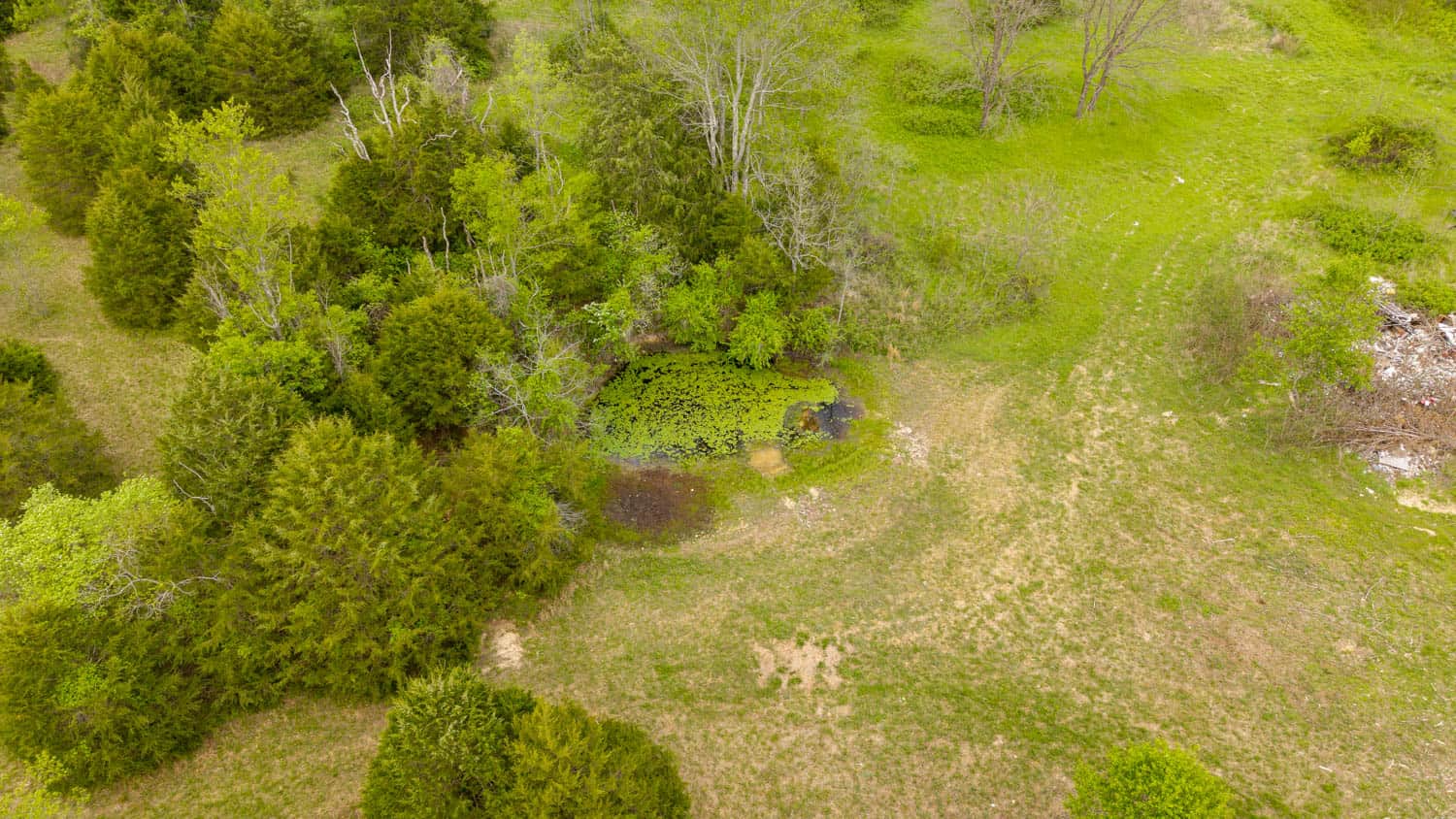 493 County Road 151, Alton, MO