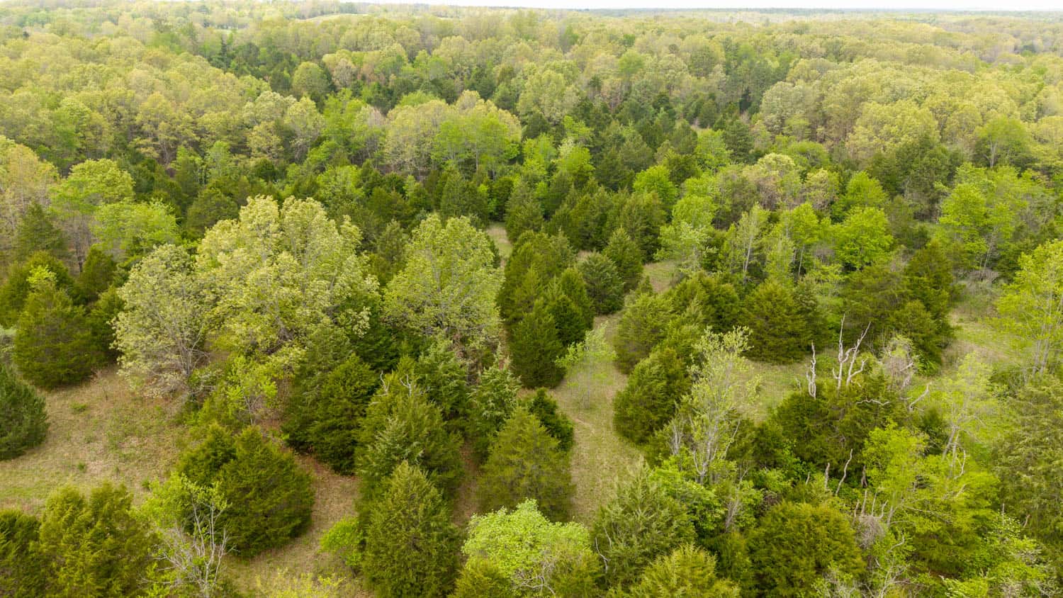 493 County Road 151, Alton, MO