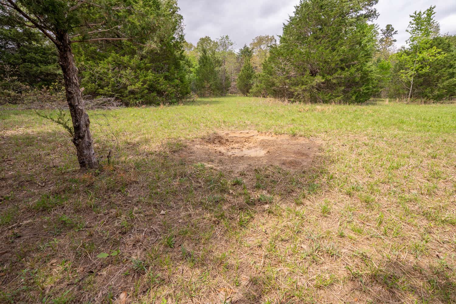 493 County Road 151, Alton, MO