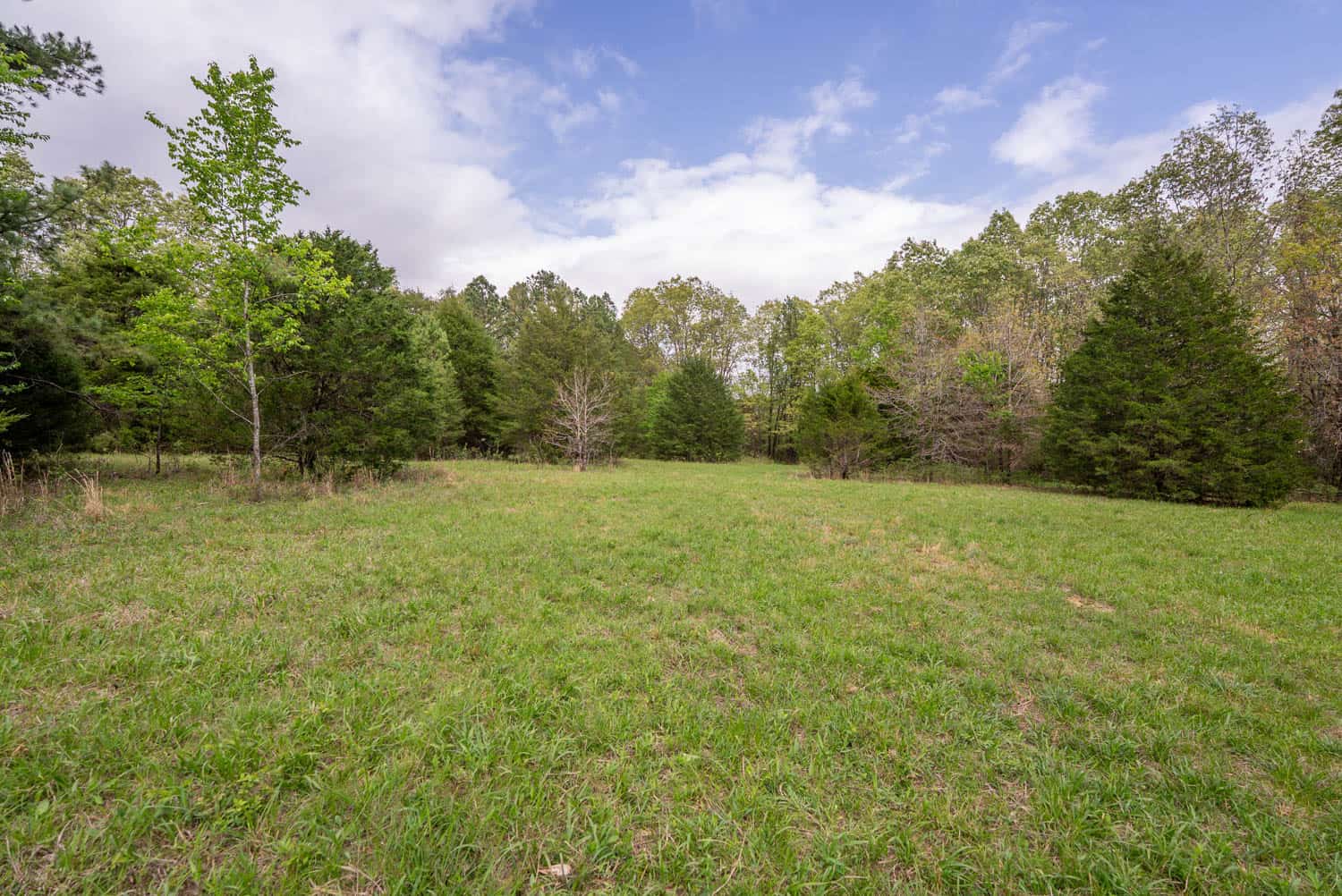 493 County Road 151, Alton, MO
