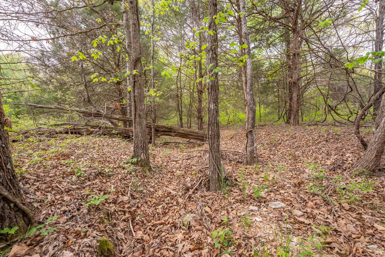 493 County Road 151, Alton, MO