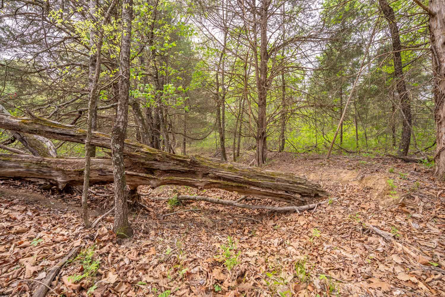 493 County Road 151, Alton, MO