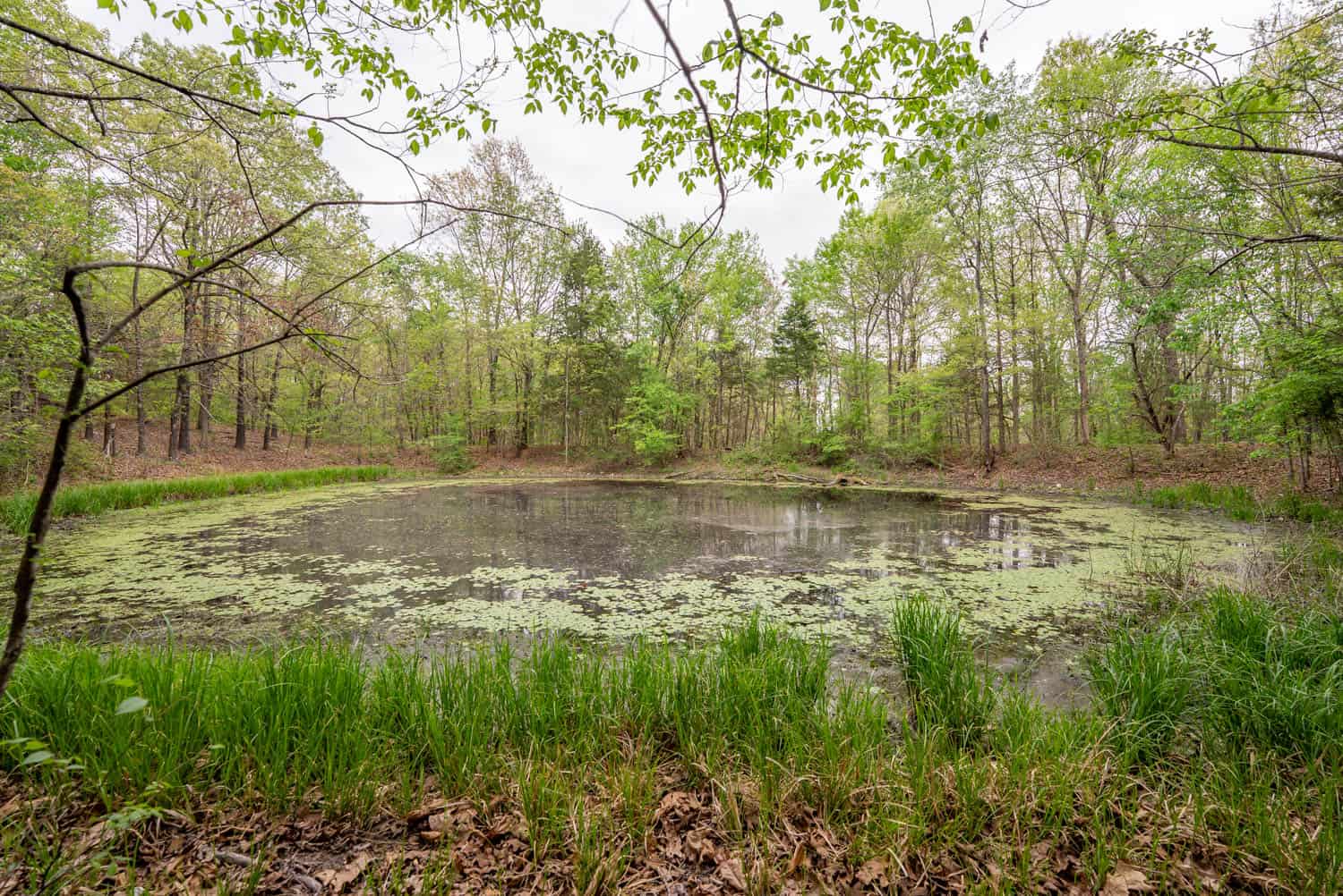 493 County Road 151, Alton, MO