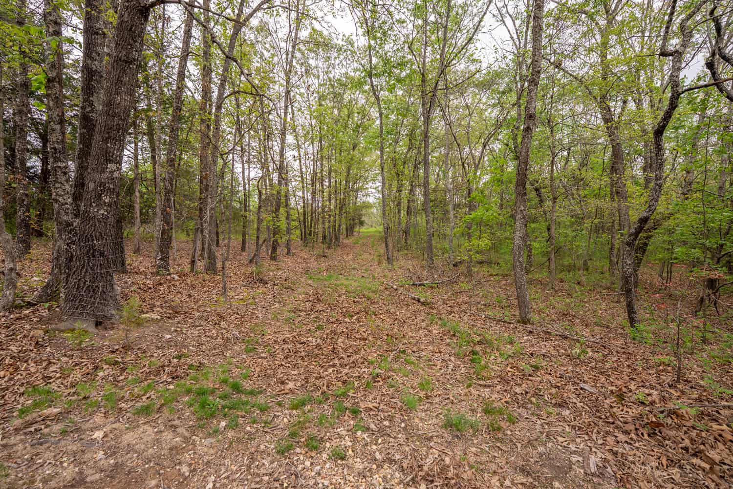493 County Road 151, Alton, MO