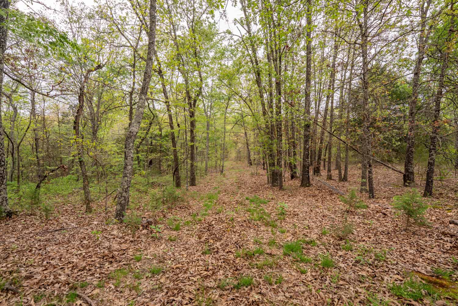 493 County Road 151, Alton, MO