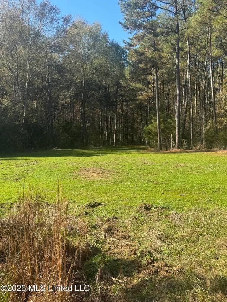 South Mississippi Hunting Land for Sale in Walthall County