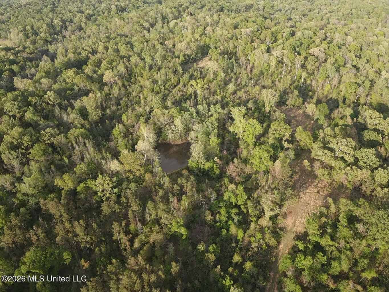 77 Acres in Edwards, MS Hinds County Big Black River Region