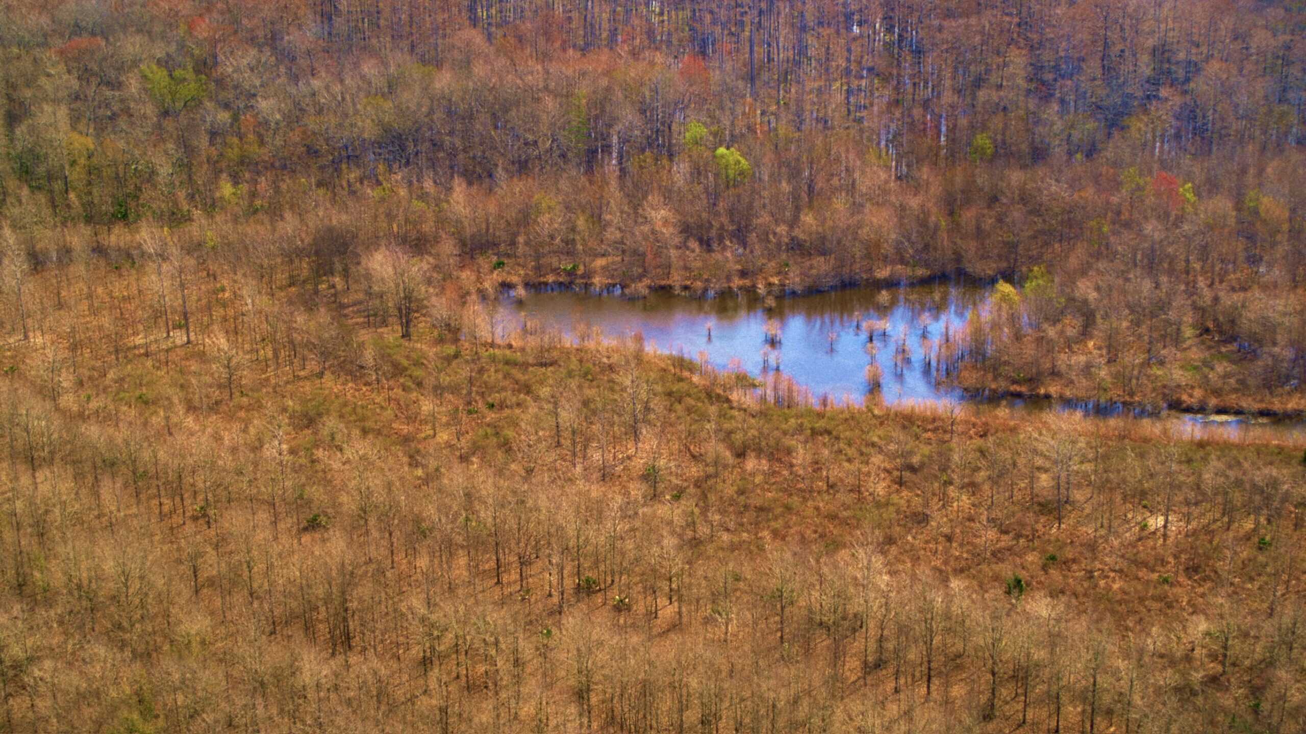 525+/- Acre Hunting Lodge for Sale in Sportsmans Paradise