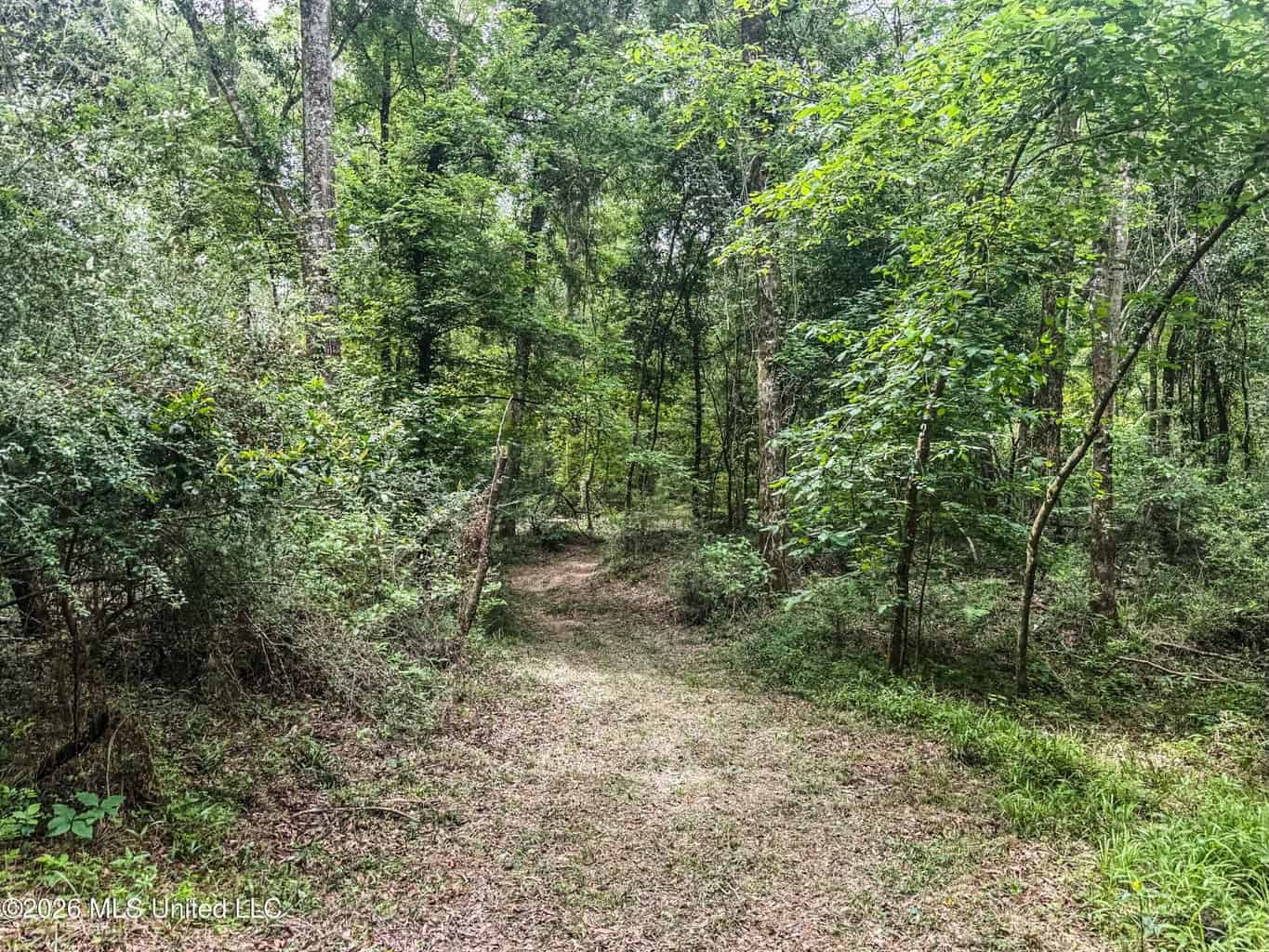 23 Acres of Riverfront Property with Sand Bar and Cabins
