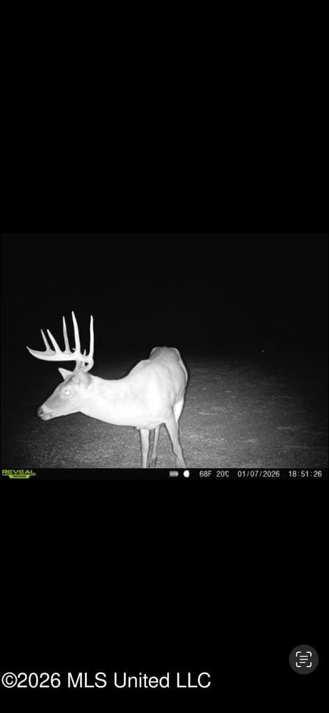 Duckport Legacy Waterfowl and Whitetail Recreational Tract