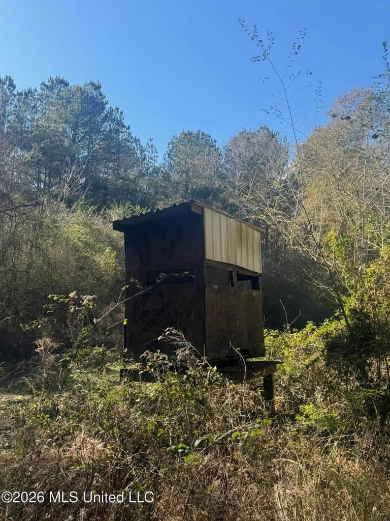 South Mississippi Hunting Land for Sale in Walthall County