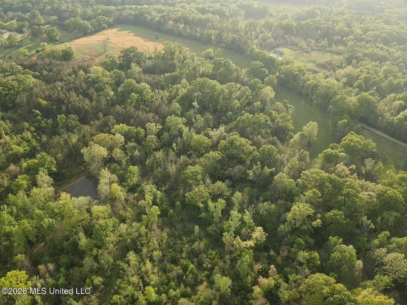 77 Acres in Edwards, MS Hinds County Big Black River Region
