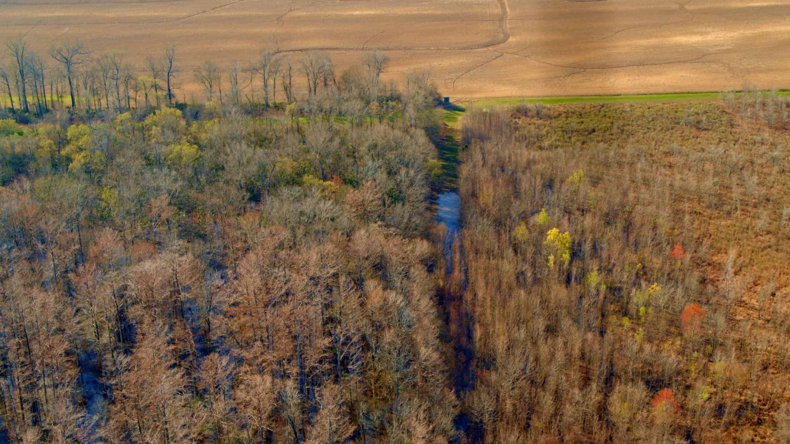 1,196+/- Acre Deer & Duck Hunting Paradise Tensas Parish, LA