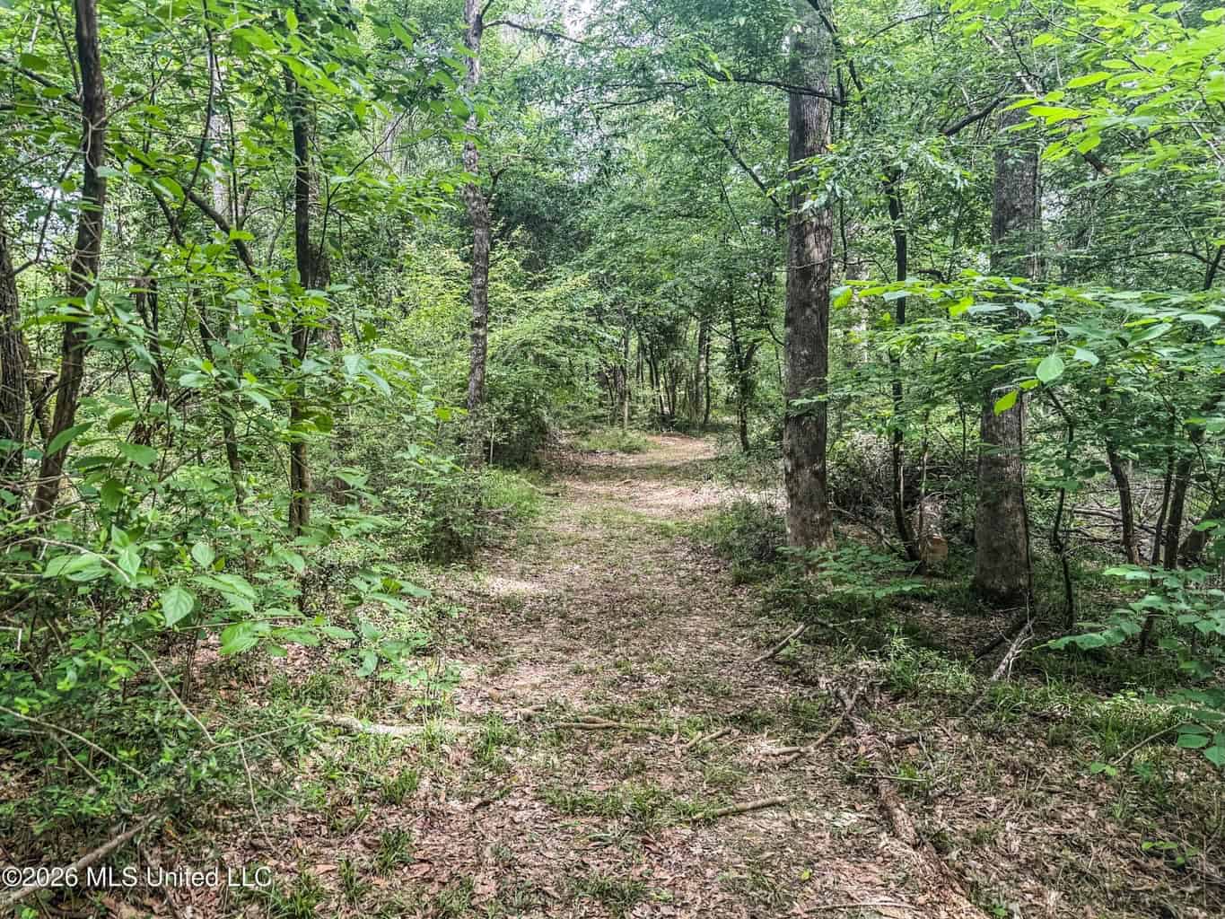 23 Acres of Riverfront Property with Sand Bar and Cabins