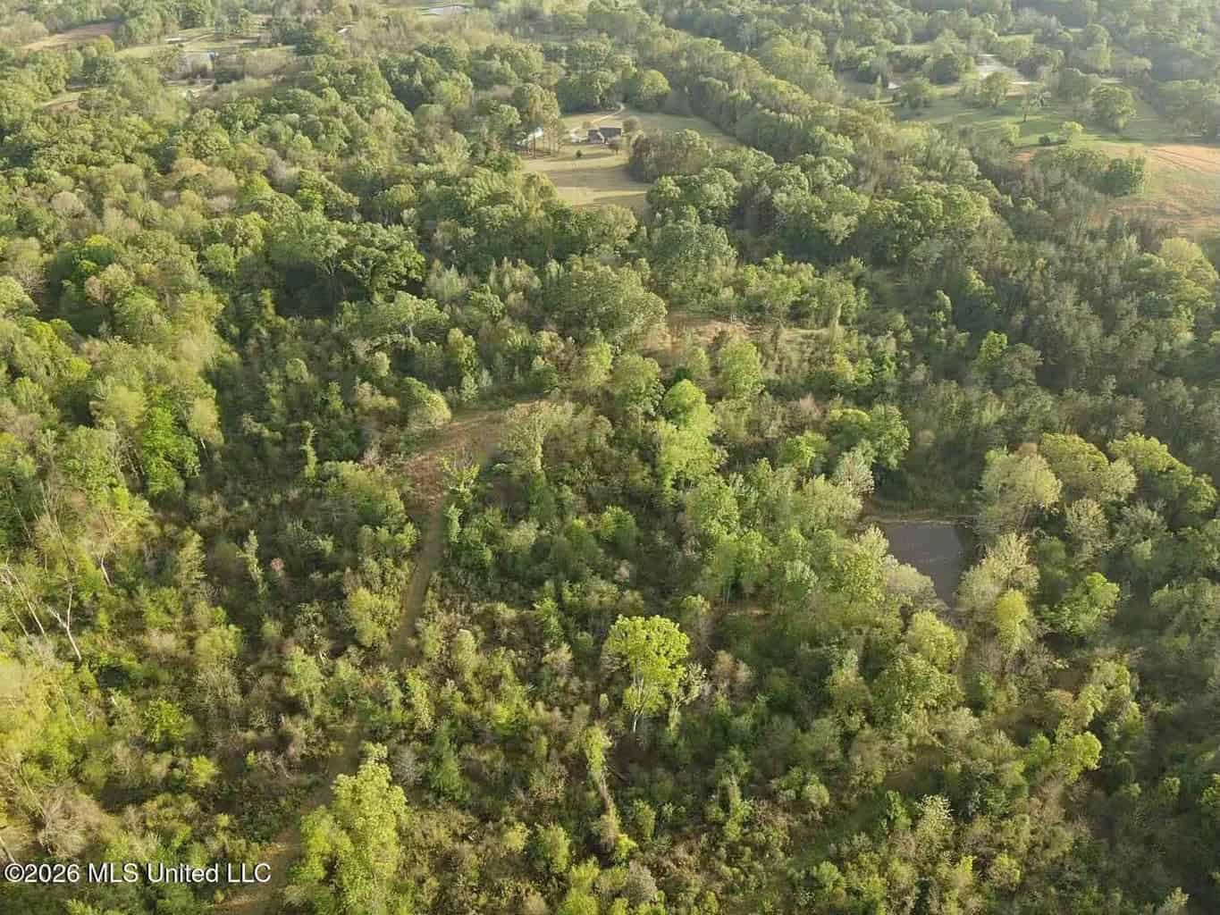 77 Acres in Edwards, MS Hinds County Big Black River Region