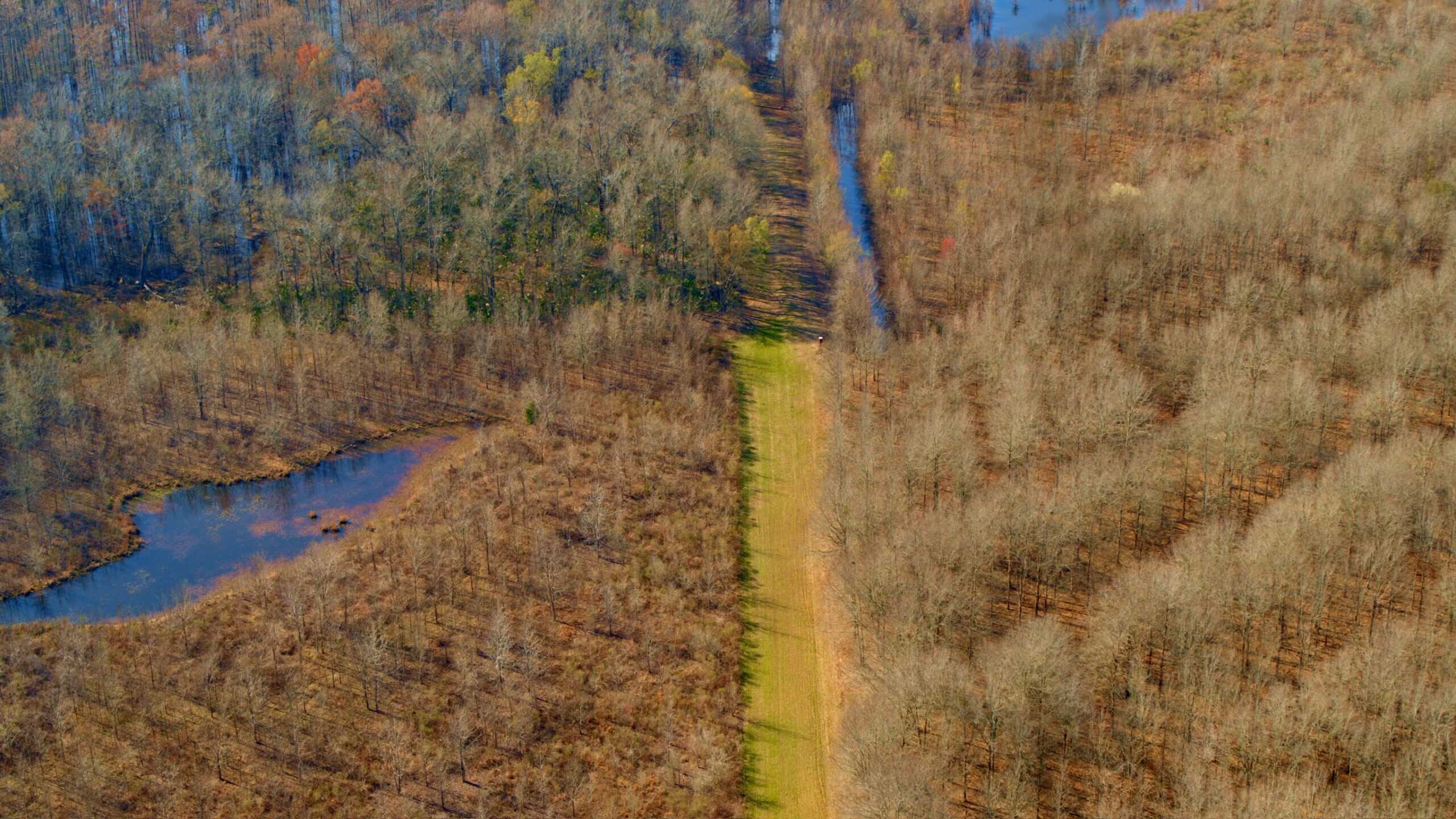 525+/- Acre Hunting Lodge for Sale in Sportsmans Paradise
