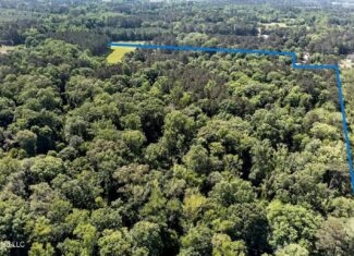 5BR 3.5 BA Home for Sale on 39 Acres of Land in Pike County
