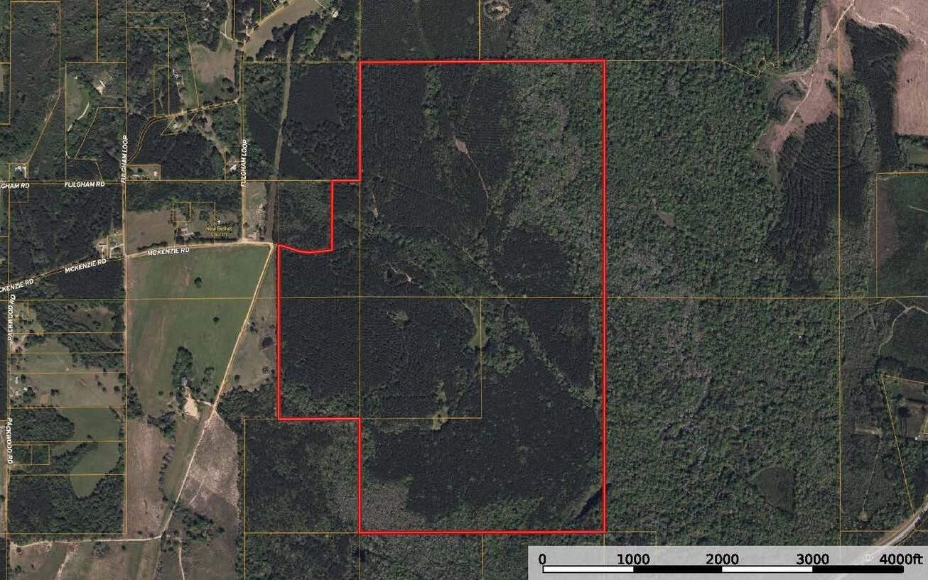 South Mississippi Hunting Land for Sale in Walthall County