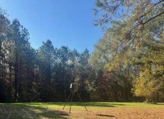 South Mississippi Hunting Land for Sale in Walthall County