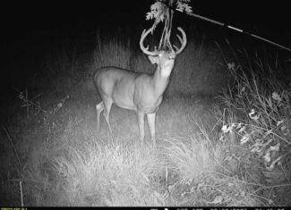 44± Acre Premier Duck and Deer Hunting Property Marquette Cty WI