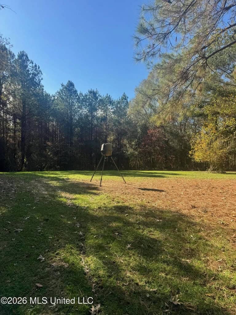 South Mississippi Hunting Land for Sale in Walthall County