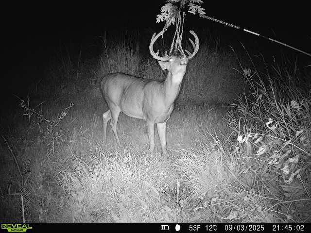 44± Acre Premier Duck and Deer Hunting Property Marquette Cty WI