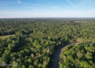 266± Acres Hinds/Copiah Line with Creek and Income