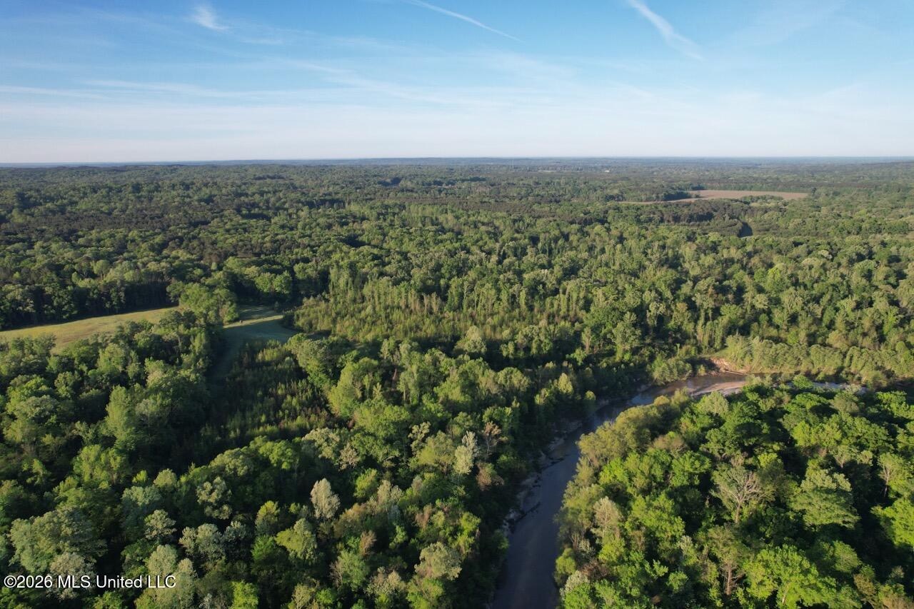 266± Acres Hinds/Copiah Line with Creek and Income