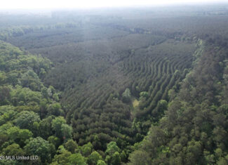 46 Acres in St. Helena Parish, LA Hunting Property for Sale