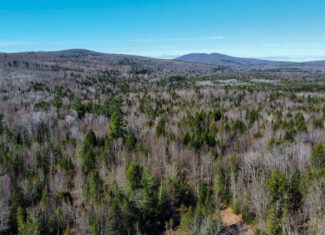 Western Maine Land for Sale – Near Sugarloaf & Outdoor Recreation